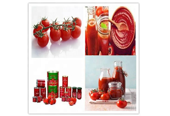 Small scale tomato paste processing plant