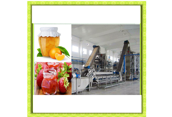 Fruit paste fruit juice concentrated juice production plant