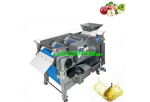 Turnkey project industrial apple juice/fruit juice processing equipment line