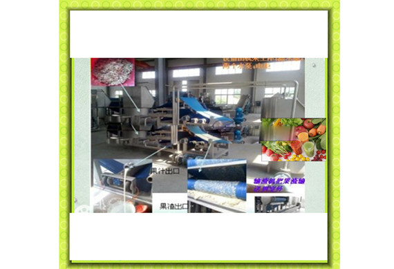 Turnkey project industrial apple juice/fruit juice processing equipment line