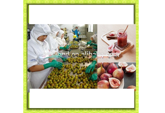 HIGH EFFICIENCY FIG PASTE PROCESSING MACHINE / FIG JAM MAKING MACHINE