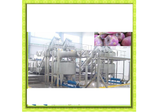 Complete prickly pear paste production line / prickly pear jam making machine