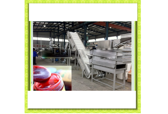 Complete prickly pear paste production line / prickly pear jam making machine