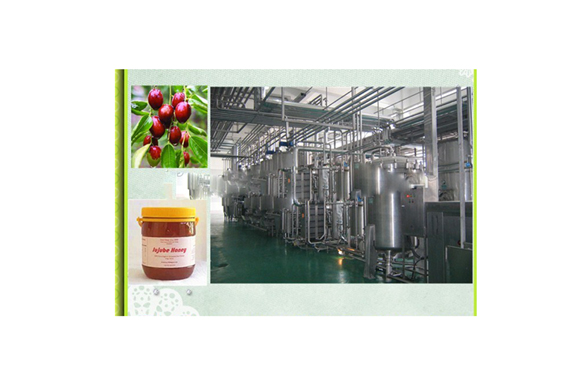 Date syrup production line/ date paste processing machine / date honey making machine