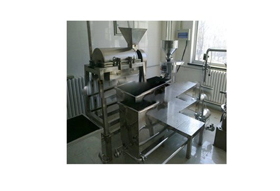 small capacity Strawberry Paste /Jam/juice production line /machine/equipment