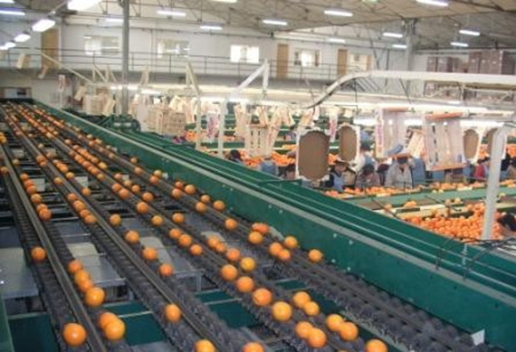 Juice Production Line/Fruit Juice Production Line/Fruit Juicer Production Line Filling Machin