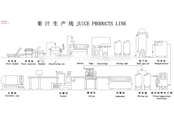 Customized Compound fruit juice processing line Mango peeled Pitting machine