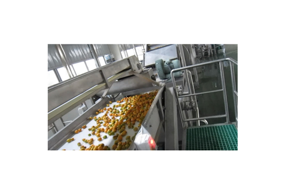 Fully automatic fruit juice making machine price