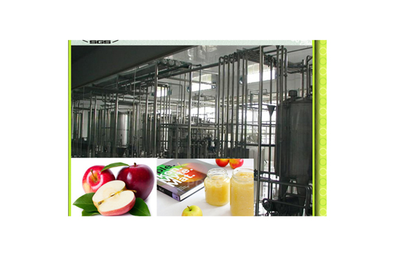 Factory price and stainless Mango juice/jam/pulp/puree/paste/sauce processing plant