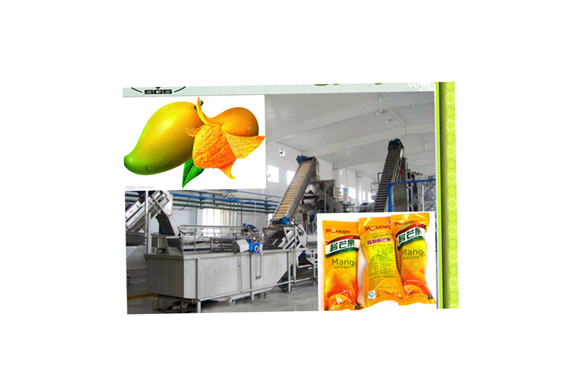 China industrial Mango juice jam/ pulp processing line /sliced mango processing line