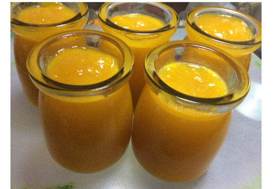 Mango jam/pulp/sauce/paste/juice processing plant