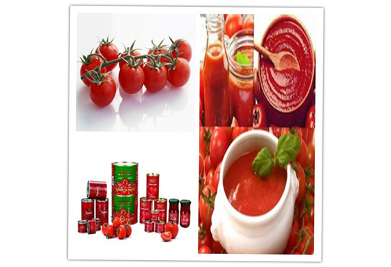 Turnkey project tomato puree making processing plant