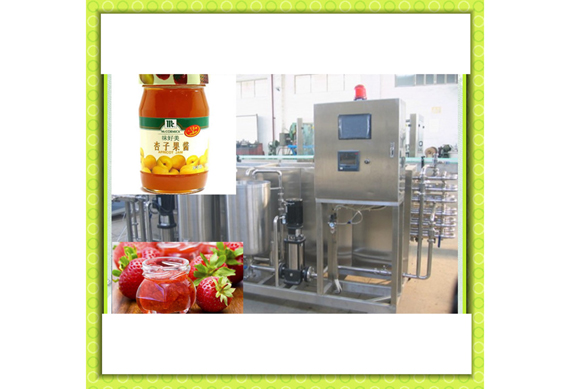 jam production equipment/small fruit jam processing line