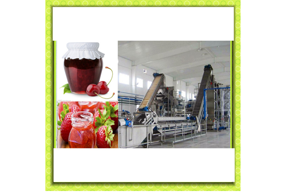 jam production equipment/small fruit jam processing line