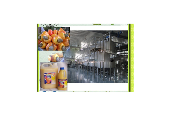 High efficiency cashew apple juice processing machine