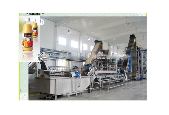 High efficiency cashew apple juice processing machine