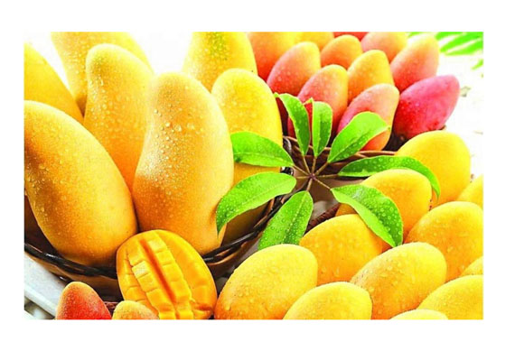 industrial Mango juice jam pulp processing line