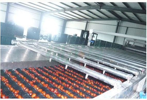 Dates Molasses Making Machine Production Line