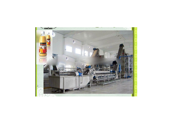 High efficiency cashew apple juice making equipment / cashew apple juice processing machine