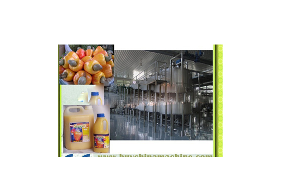 High efficiency cashew apple juice making equipment / cashew apple juice processing machine