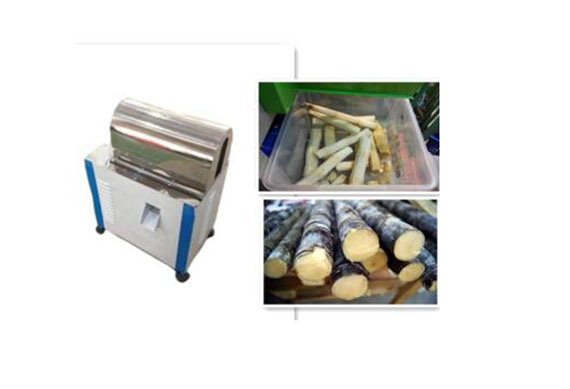 sugarcane peeler for sugarcane processing