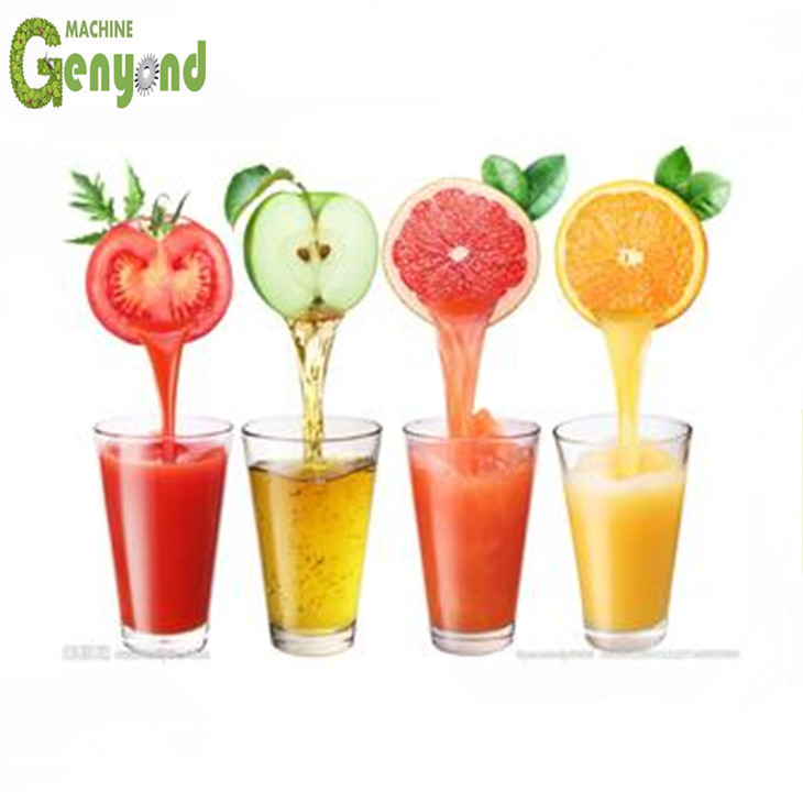 Small capacity Ginkgo juice/fresh fruit juice production line /plant /processing line /equipment