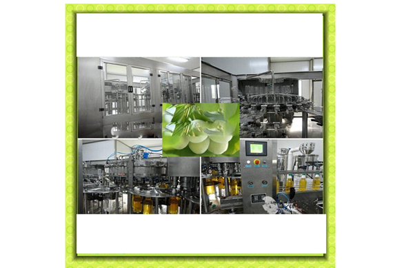 Small capacity Ginkgo juice/fresh fruit juice production line /plant /processing line /equipment