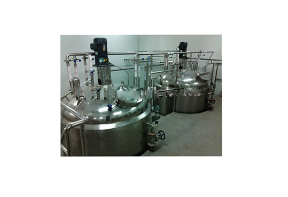 Small capacity Ginkgo juice/fresh fruit juice production line /plant /processing line /equipment