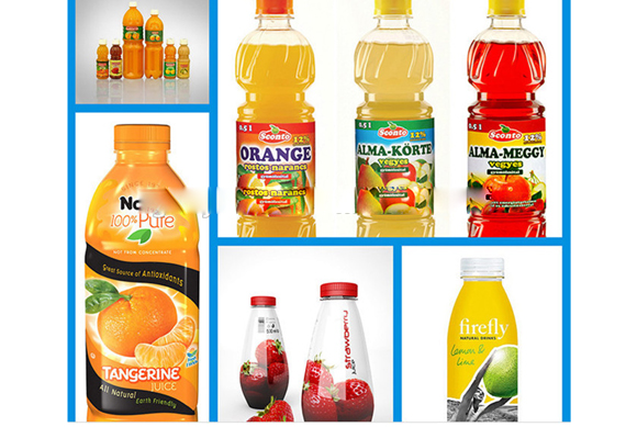 Small capacity Ginkgo juice/fresh fruit juice production line /plant /processing line /equipment