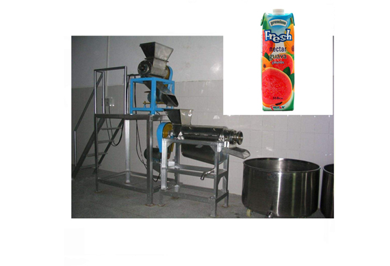 Hight efficient fruit cold prsee juicer