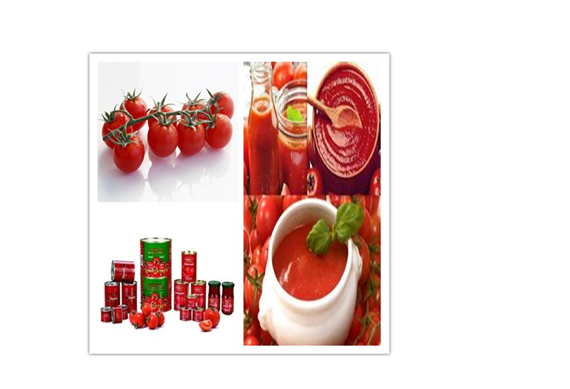 Tomato paste producing plants fruit paste production line