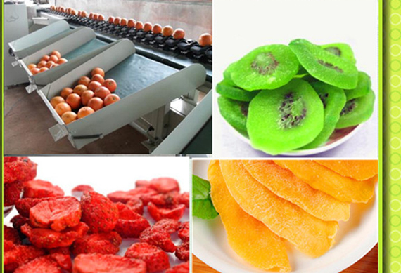 Fruit and Vegetable Chips Process line