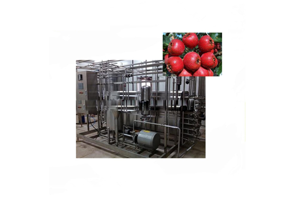 Small capacity Hawthorn juice/fresh fruit juice production line /plant /processing line /equipment