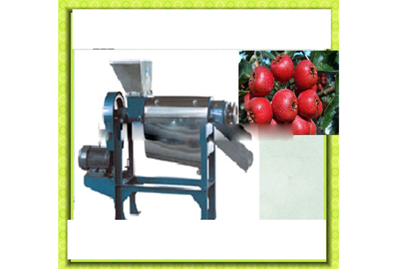 Small capacity Hawthorn juice/fresh fruit juice production line /plant /processing line /equipment