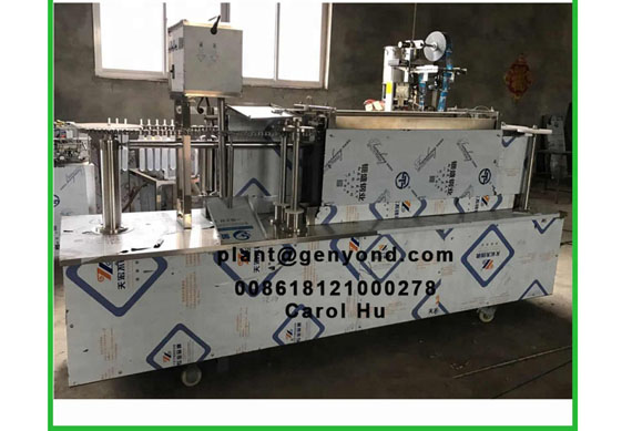 GYC automatic ice pop popsicle filling sealing machine for sale