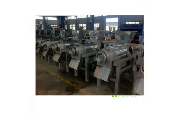 apple automatic juicer machine for apple juice making