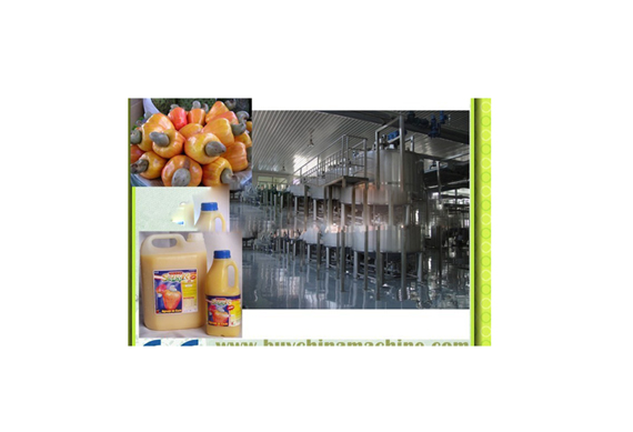 Apple clear juice process line / apple juice processing equipment