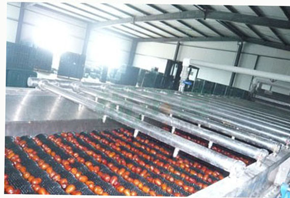 Dates Seed Remove Machinedates Drying Machinedates Molasses Making Machine