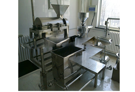 Blueberry paste production line fruit jam equipment