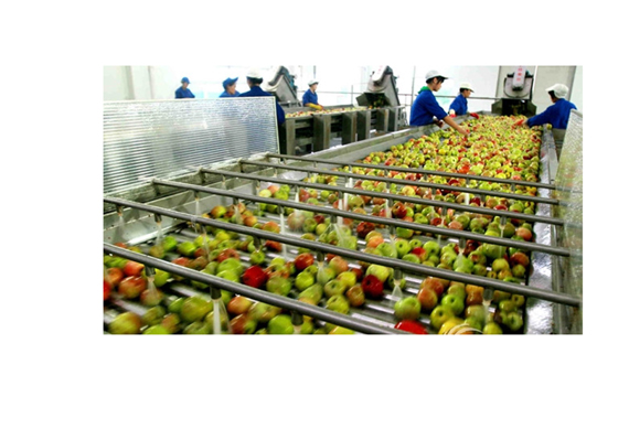 Apple juice production line/making machine/fruit pulp processing machine