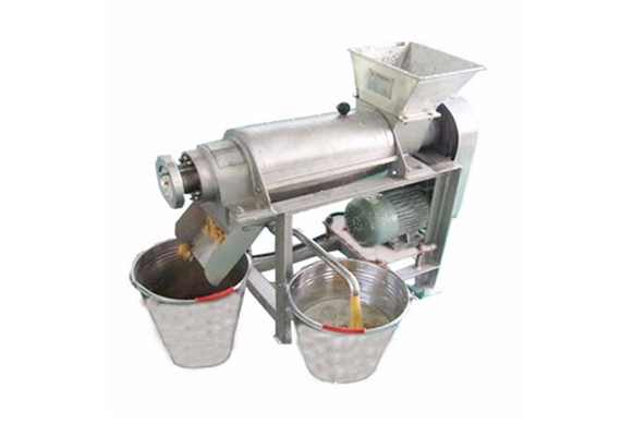 Automatic prickly pear juice process machine / prickly pear juicing equipment