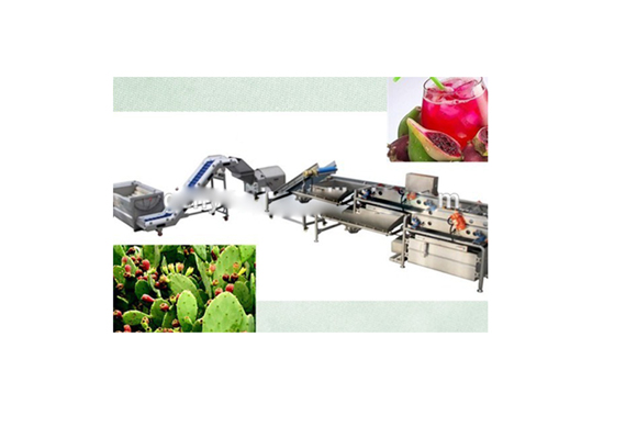 Automatic prickly pear juice process machine / prickly pear juicing equipment