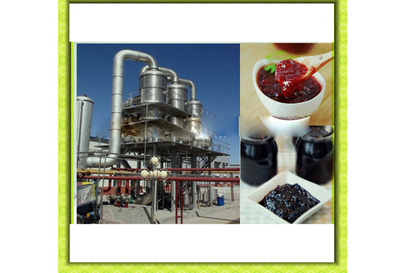 fruit jam production line