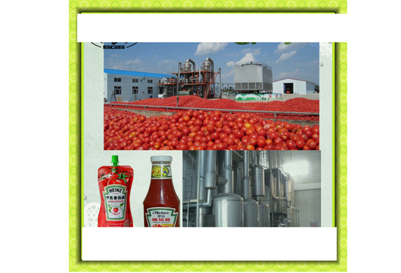 Tomato Paste /jam production line /machine/equipment