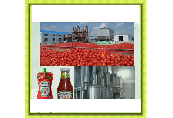 Small and Medium sized production for Tomato Paste /Jam/juice production line /machine/equipment