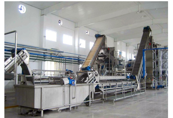 Canned tomato paste processing plant / tomato jam production line