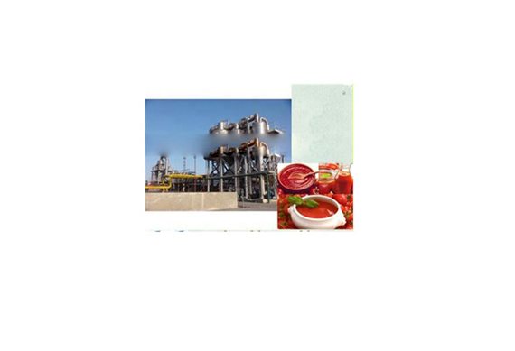 Complete Tomato Paste Making Machine with packing line