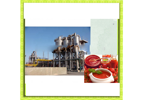 Complete Tomato Paste Making Machine with packing line