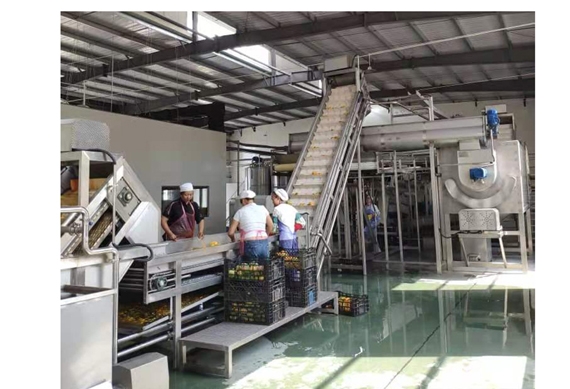 concentrate mango paste production line with aseptic filling machine