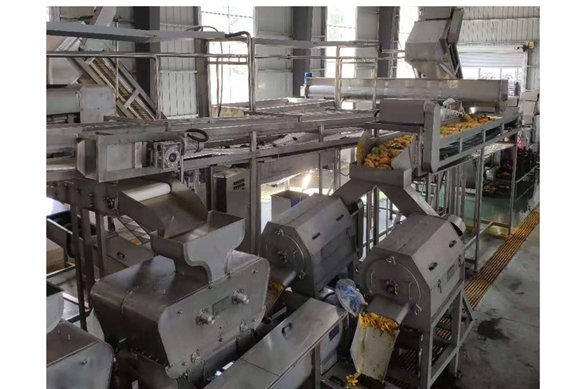 concentrate mango paste production line with aseptic filling machine